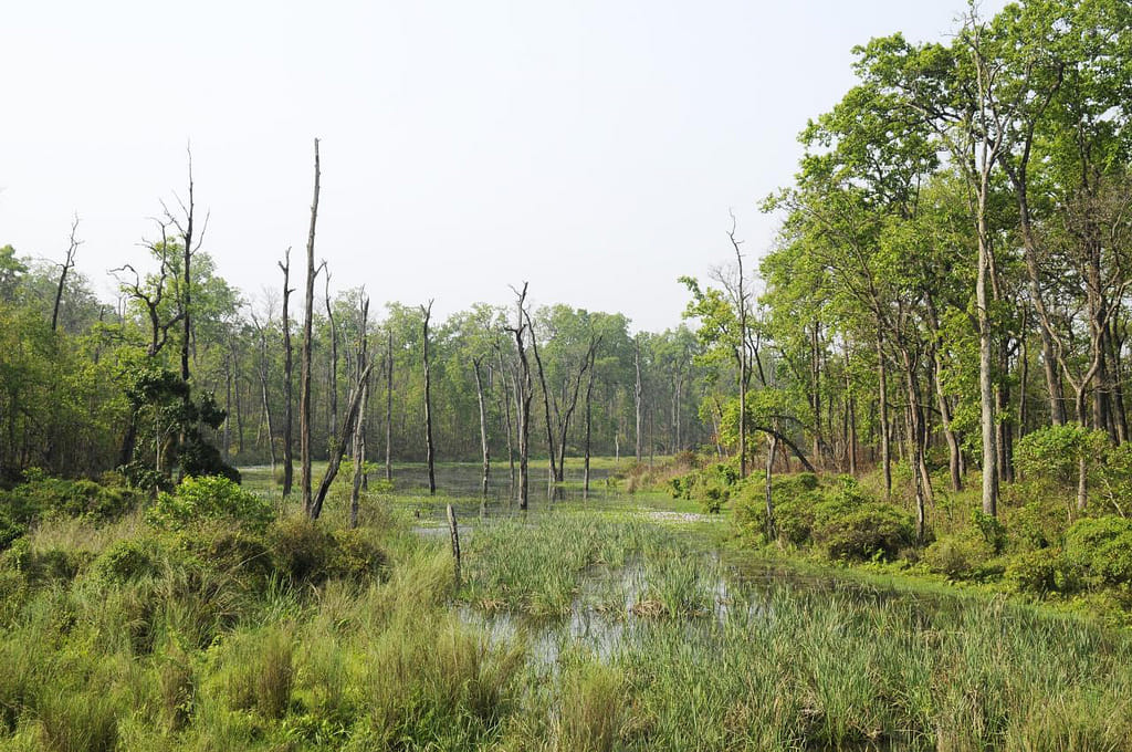 19 Days Mera Peak Climbing & Expedition – One Life-Changing Himalayan Adventure