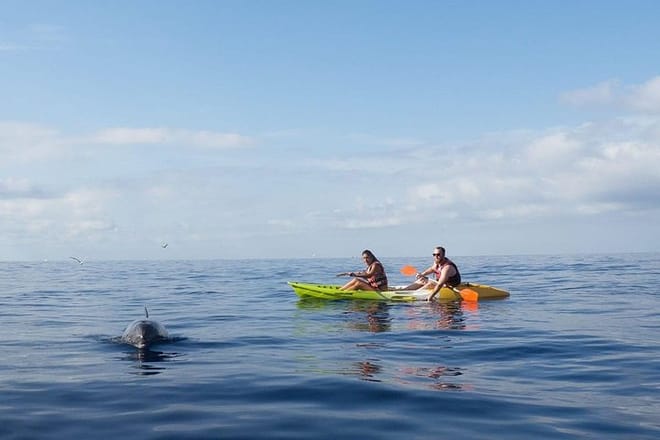 Kayaking, Snorkeling & Swimming  photo 5