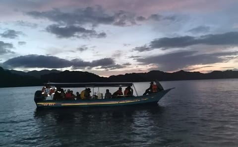 Glow-in-the-Dark Mangrove Adventure – Night Safari Plus Dinner