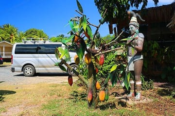 Roatan Jungle Zipline and Wildlife Encounter Tour