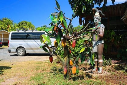 Roatan Mayan Jungle Zipline, Monkey & Sloths Adventure & City Tour