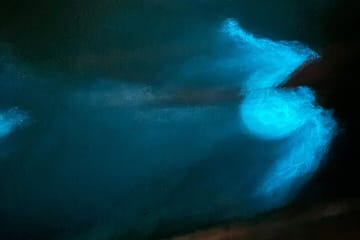 Fireflies and Bioluminescent Night Tour with Seafood Delight (Meet at Location)