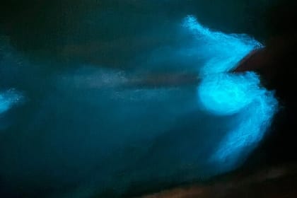 Fireflies and Bioluminescent Night Tour with Seafood Delight (Meet at Location)