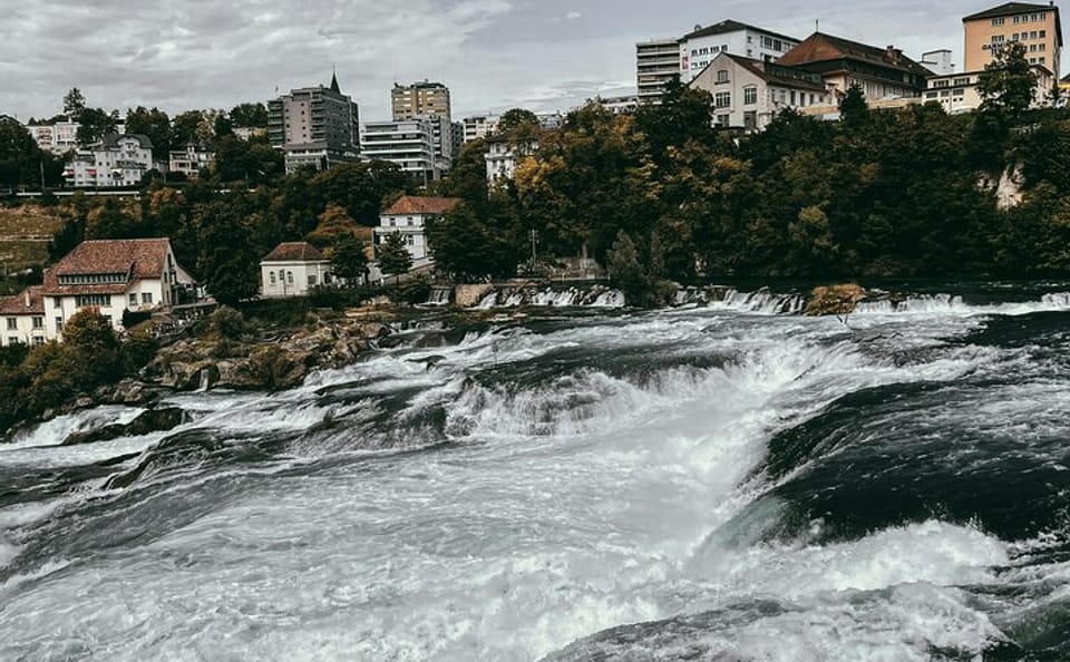 Rhine Falls and Stein am Rhein Day Tour from Zurich