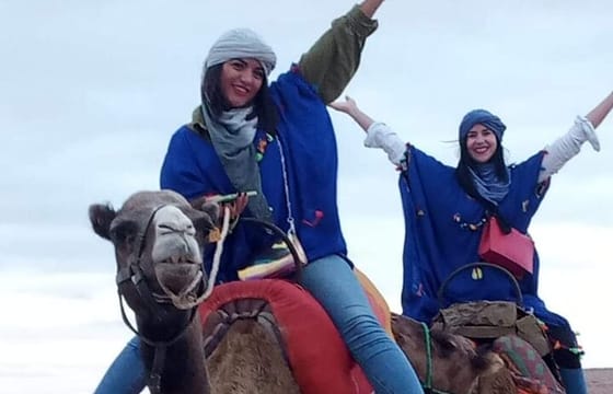 Marrakech day trip to DESERT for CAMEL ride, ATV, DINNER, SHOW