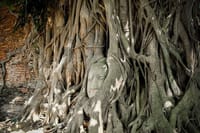Wat Mahathat
