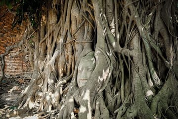 Private Day Tour of Maeklong Railway Market and Ayutthaya