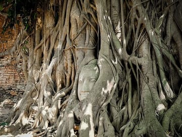 Wat Mahathat