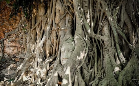 Private Day Tour of Maeklong Railway Market and Ayutthaya