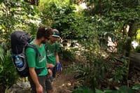 4-Day Inca Jungle Trail to Machu Picchu Hiking and Biking Tour  5