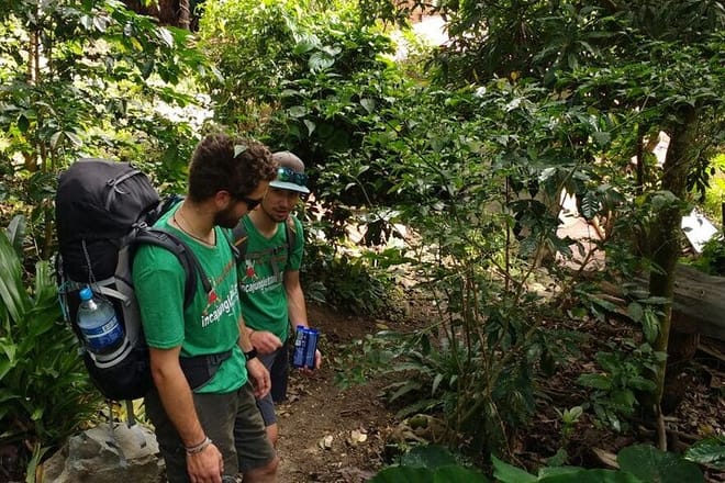 4-Day Inca Jungle Trail to Machu Picchu Hiking and Biking Tour  5