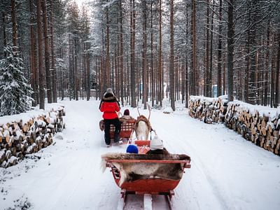 Priority Reindeer Ride - Fast Track for you Forest Path Reindeer Ride
