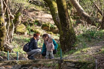 Hiking Tour to Alama Falls in Evdilos, Greece