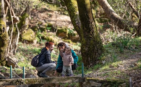Hiking Tour to Alama Falls in Evdilos, Greece