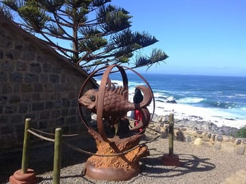 Private Poetry and Wine Tour in Isla Negra from Santiago