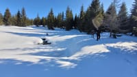 Snowshoeing Fun Tour from Cluj Napoca 8