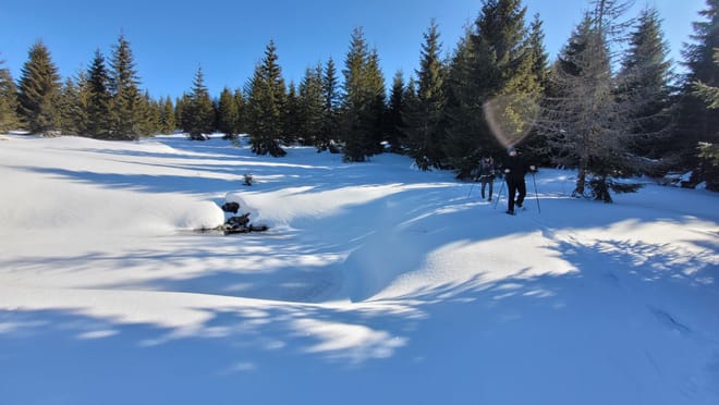 Snowshoeing Fun Tour from Cluj Napoca 8