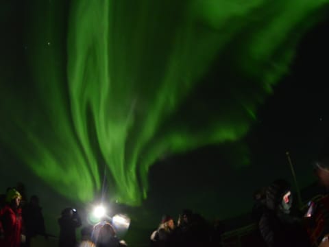 Northern Lights Cruise & The Reykjavík Food Walk, photo 5