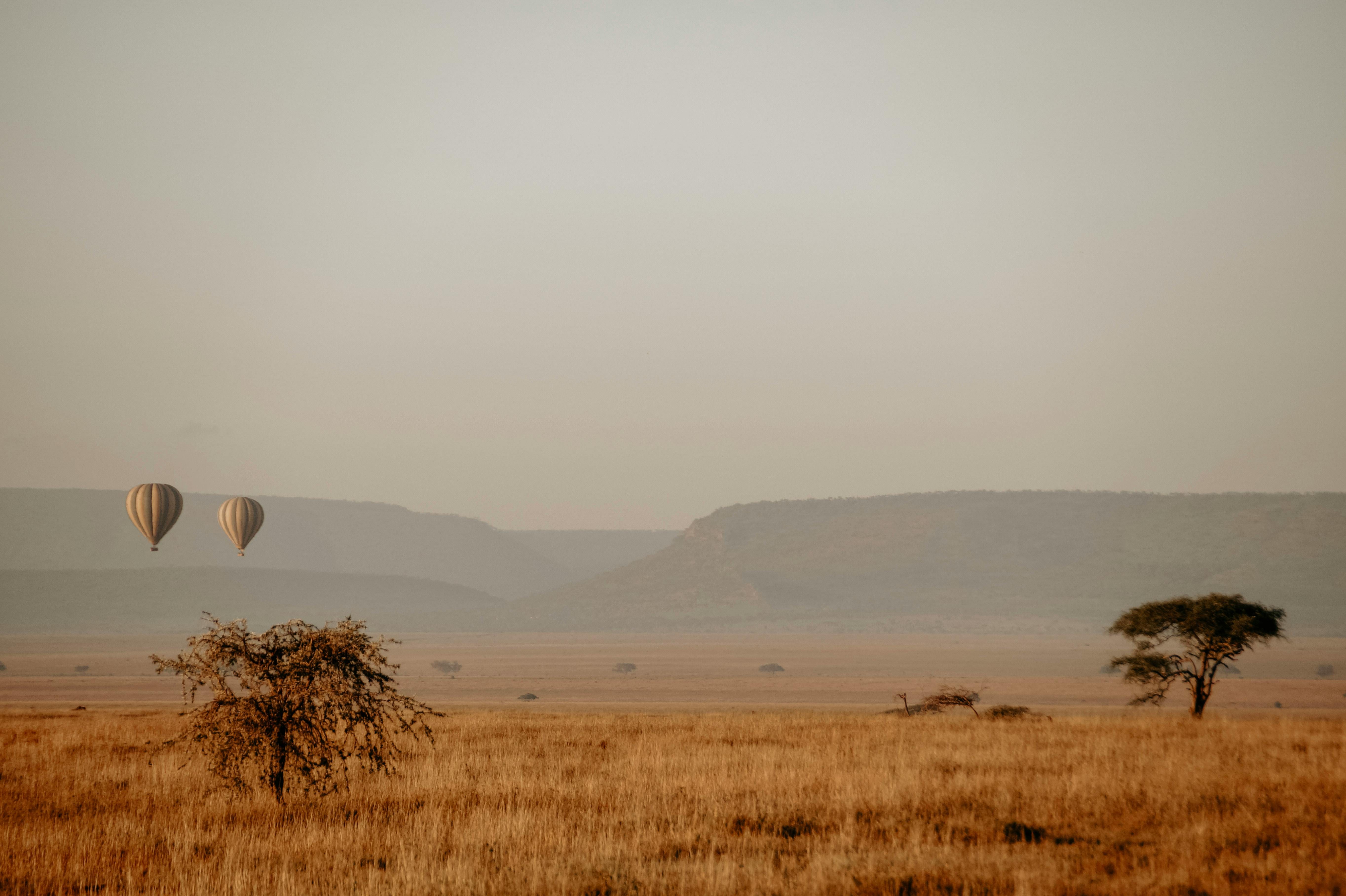 Hot Air Balloon- Central Serengeti
