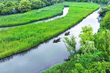 Half-Day Guided Tour of Hangzhou Xixi Wetland Park