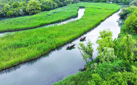 Half-Day Guided Tour of Hangzhou Xixi Wetland Park