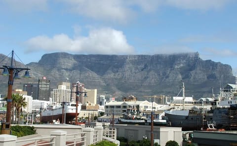 Private City Tour of Cape Town, Kirstenbosch, and Table Mountain