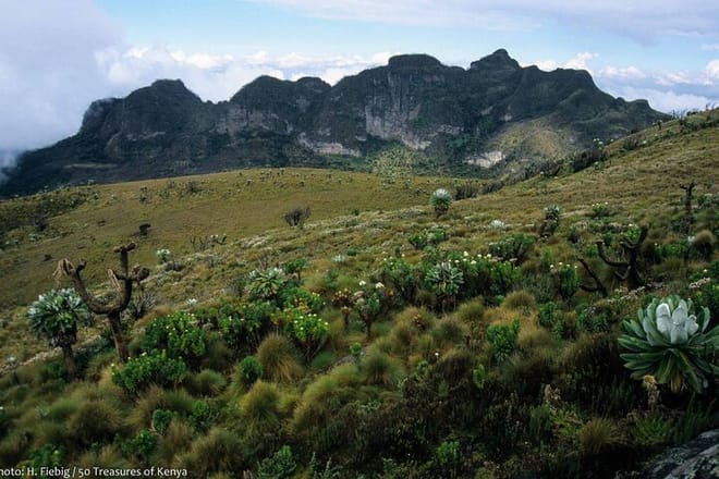 Vast Horizons: A sweeping landscape unfolds,