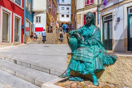 Coimbra’s most beautiful locations: Private walking tour