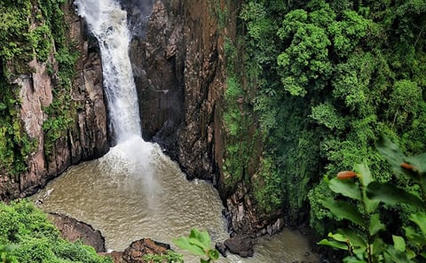 Khao Yai National Park and Thai Cooking Class from Bangkok