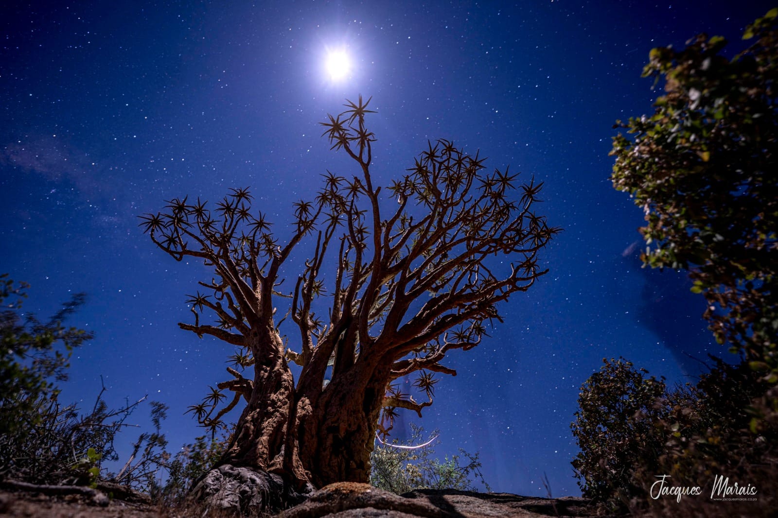 Chasing African Light. Cape Town. Guided