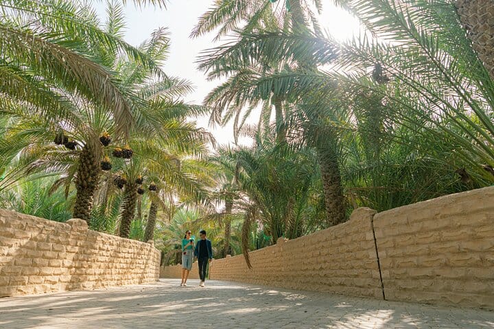 Al Ain Oasis