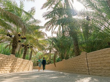 Al Ain Oasis