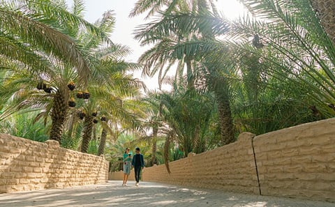 Small Group Day Tour of Al Ain City from Dubai