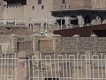 Cultural Day Trip to Luxor from Marsa Alam by Minivan