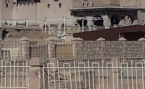 Cultural Day Trip to Luxor from Marsa Alam by Minivan