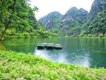 Tuyet tinh coc