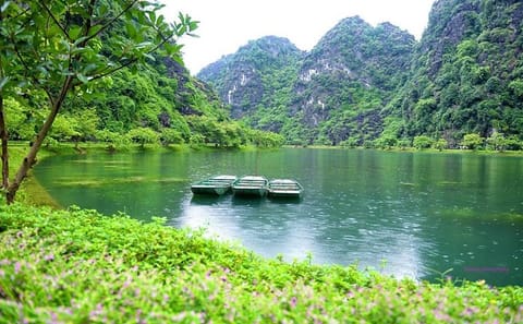 Ninh Binh Day Tour: Hoa Lu and Trang An Boat Ride from Hanoi