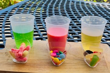 Full day Blue line Franschhoek From Cape Town