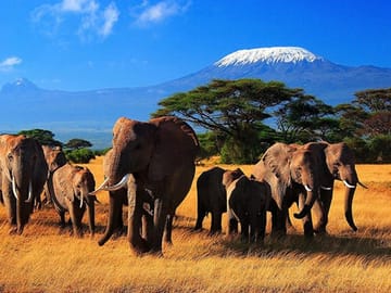 3 Day Amboseli Safari
