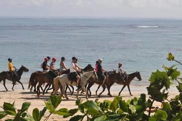 Horseback Riding Tour at Macao Beach in the Dominican Republic