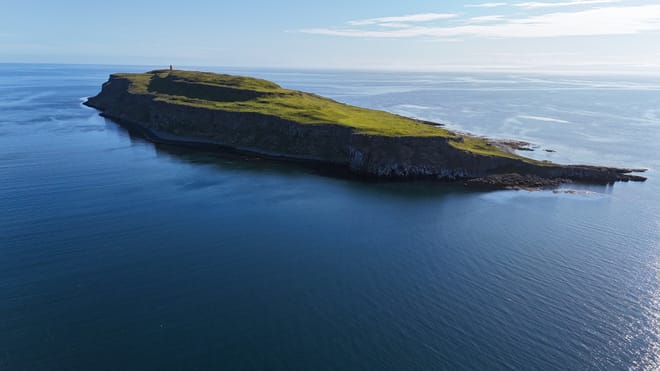 Grímsey Wildlife Tour