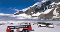 Icefields