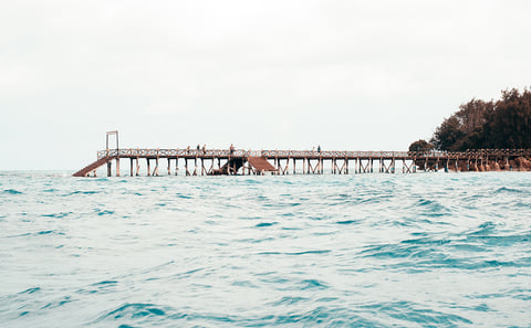 Prison Island Tour: Giant Tortoises & Changuu Island Boat Trip