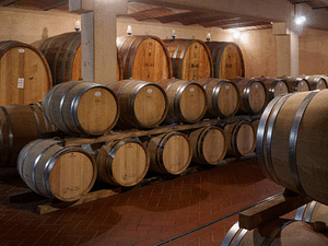Winery Visit & Tasting near Grosseto with 6 wines