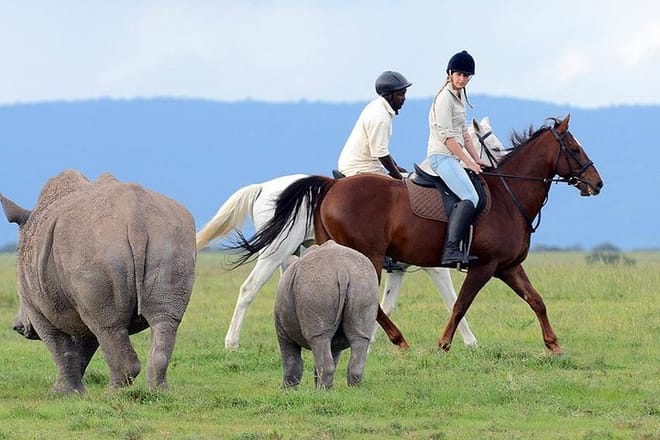 Horse Riding with the Rhino