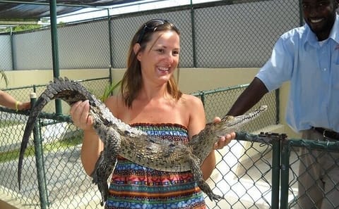 Full-Day Adventure Tour of YS Falls and Black River Safari in Jamaica