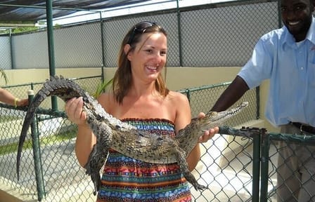 Full-Day Adventure Tour of YS Falls and Black River Safari in Jamaica