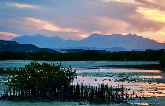 Adventurous Week in Hurghada with Culture and Relaxation