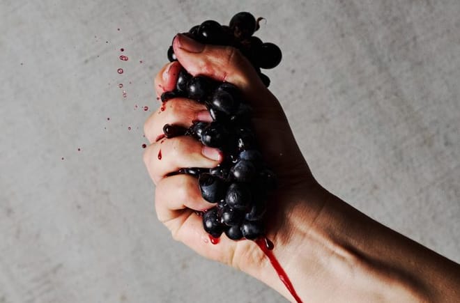 Shared Half day wine tour Concha y Toro seasonal offer 7