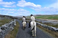 Horse riding the mountain trail. Clare. Guided, 2 hours 6